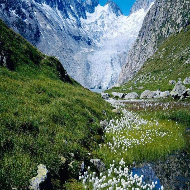 place in Georgia