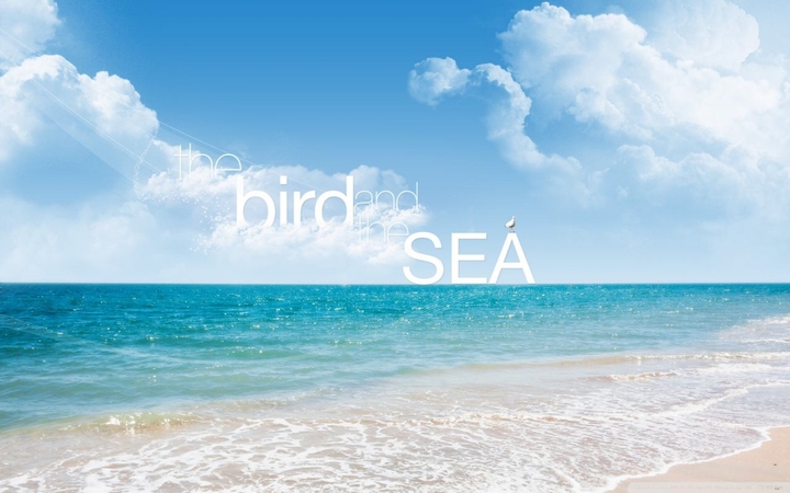 The bird and the sea