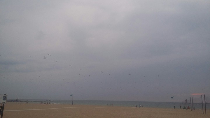 idk, this is a pic I took that reminded me of save me