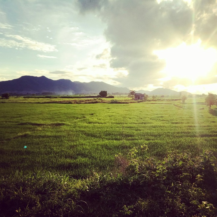 My country