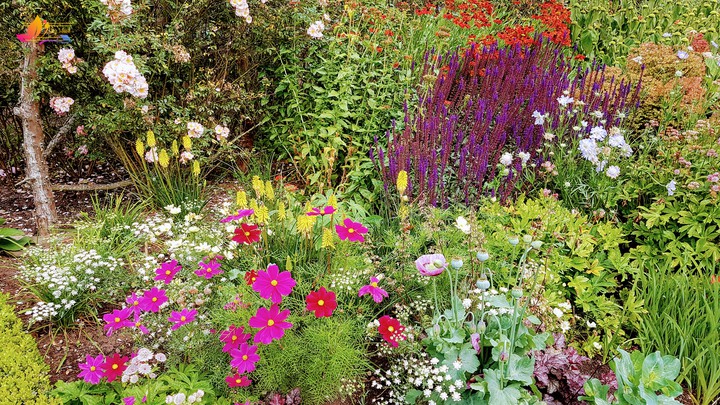 wild border