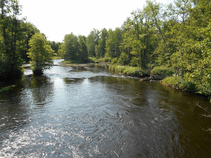 swedish river