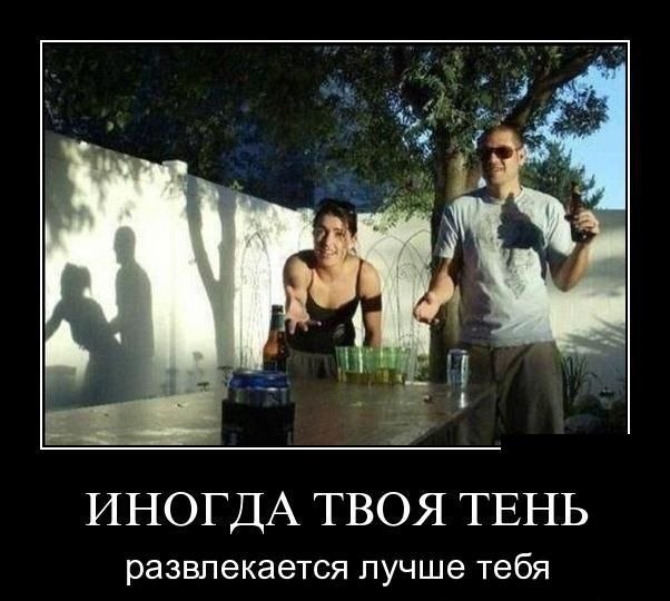 shadow party
