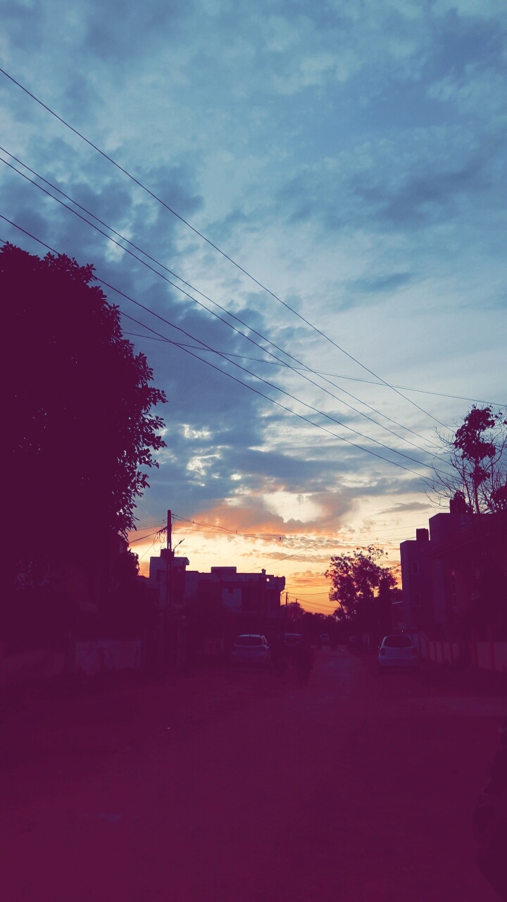 evening shades
