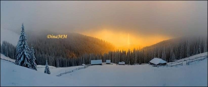 neve