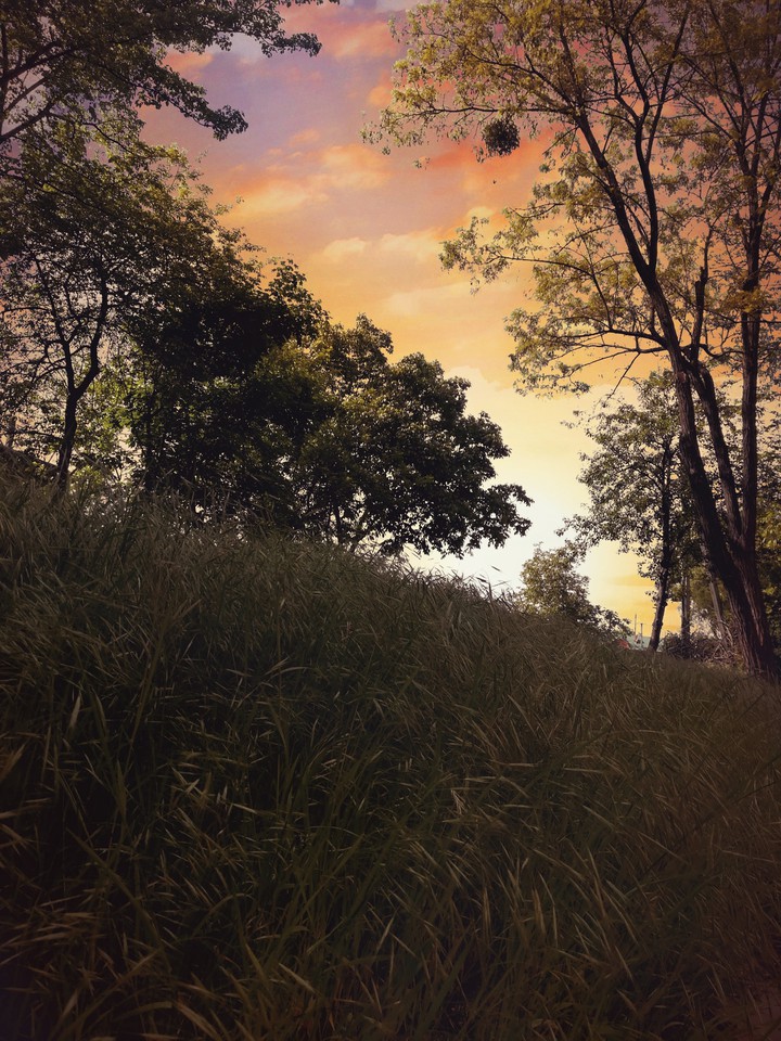 .