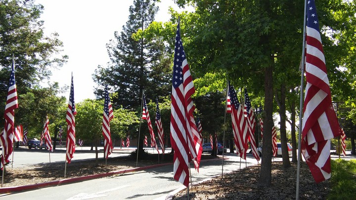 4th of July--street of flags
