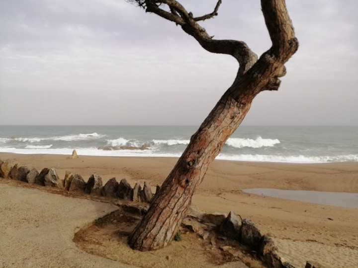 Solitude