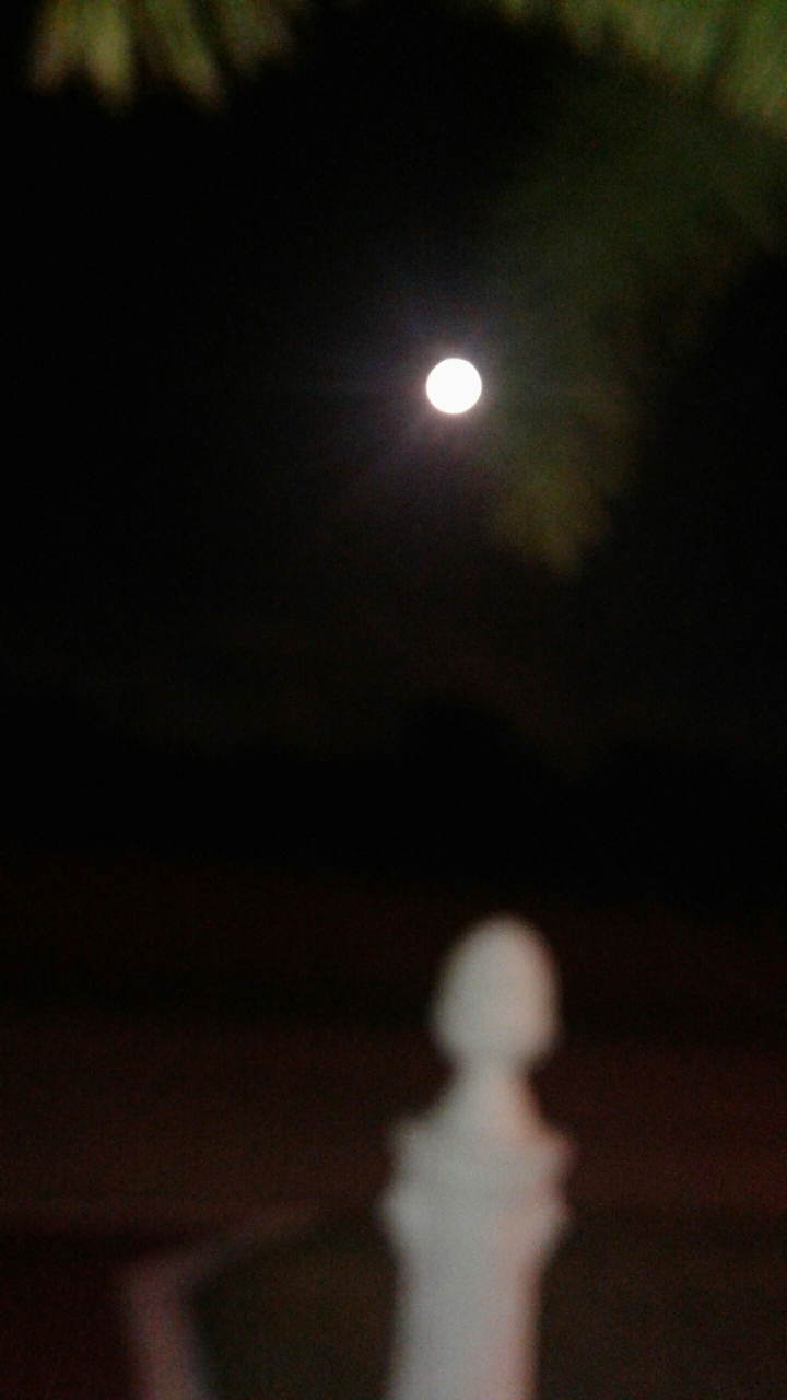 Beautiful moon