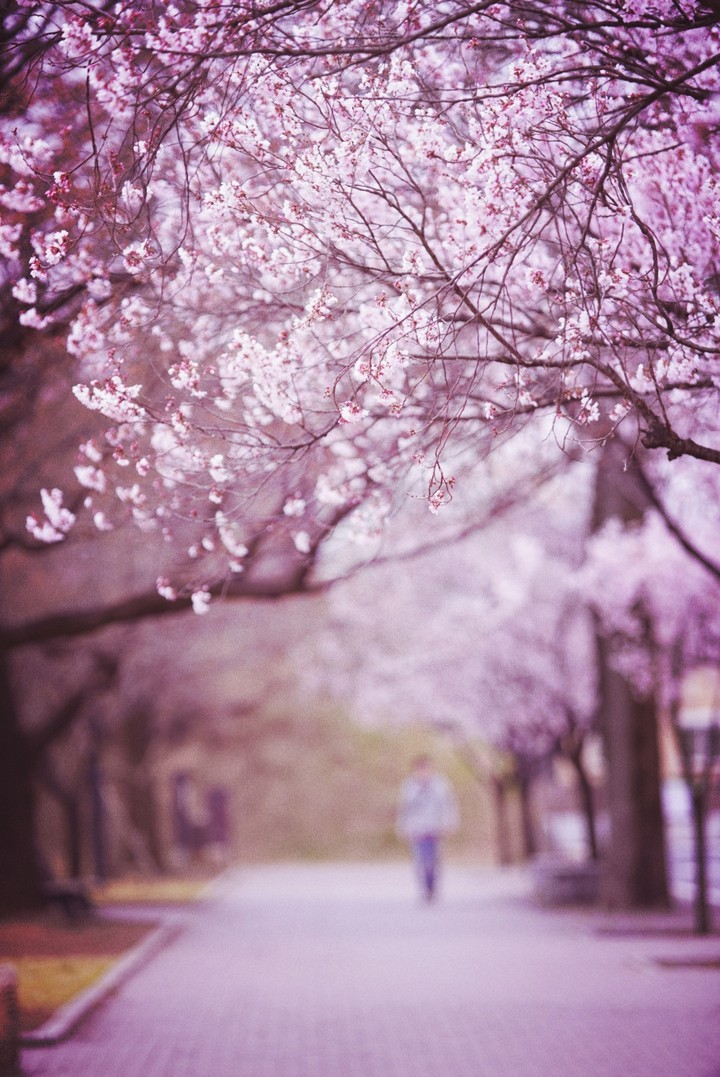 spring has come