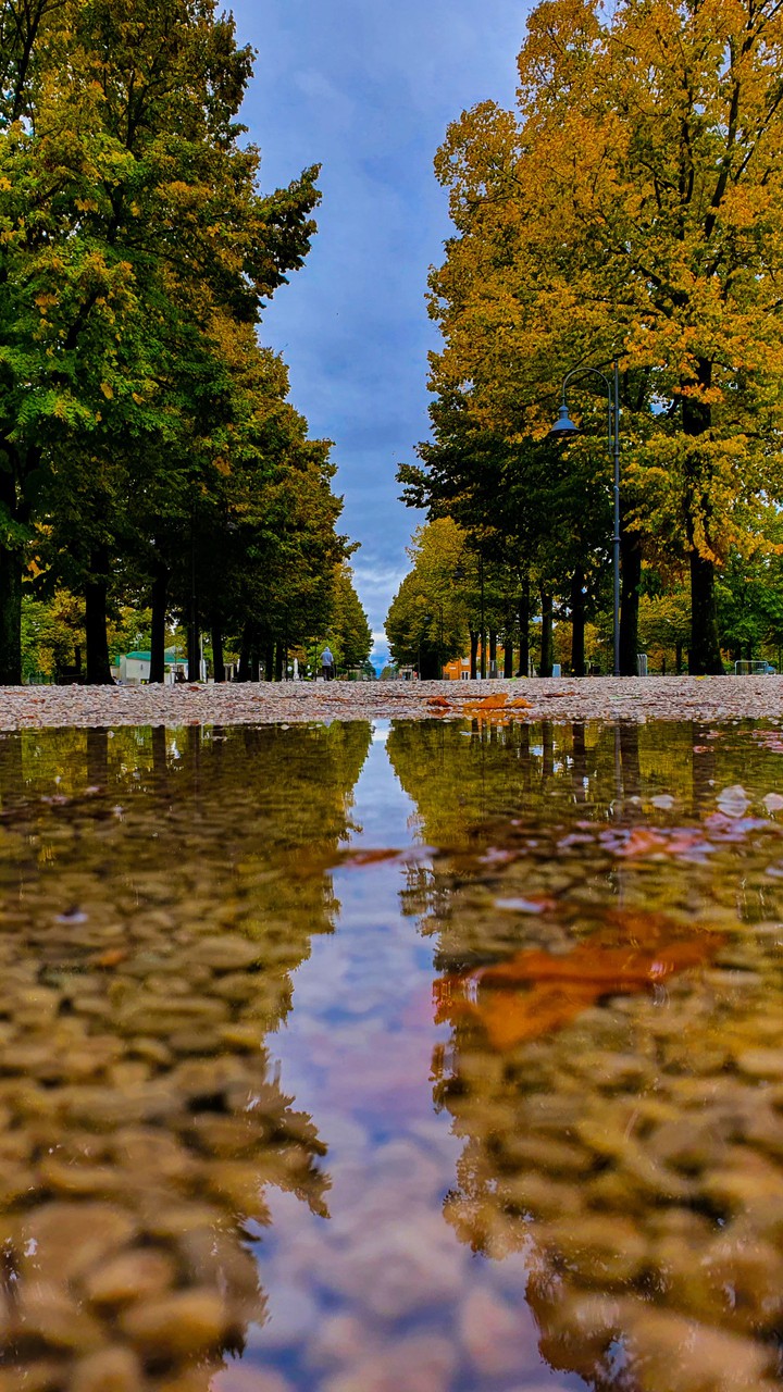 autumn