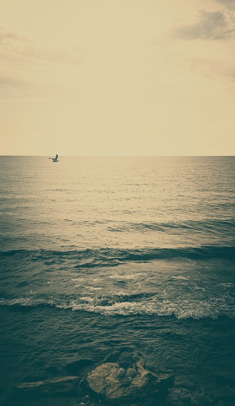 Caspian Sea