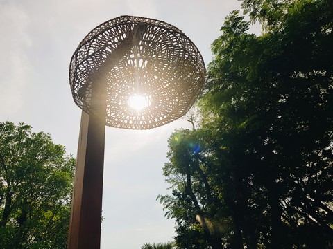 Light from The lamp or The Sun?