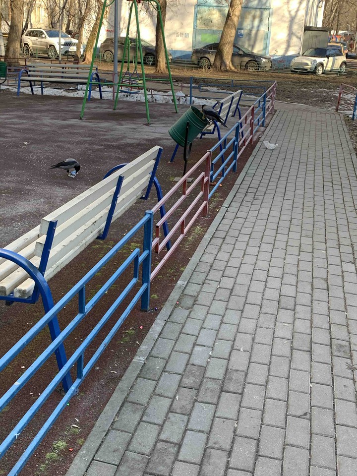 Шёл с работы увидел чудо ворон?????
