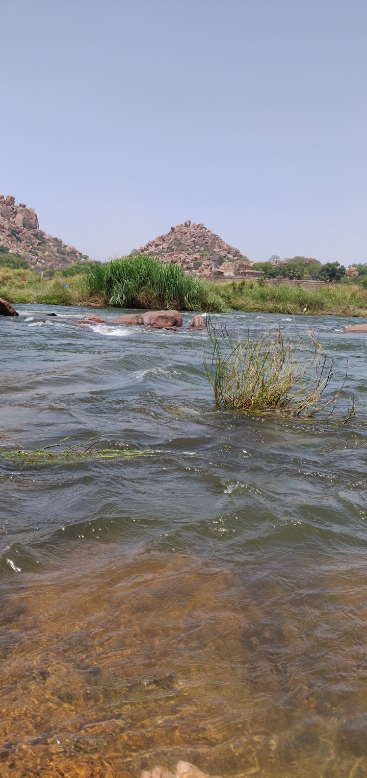 river bank