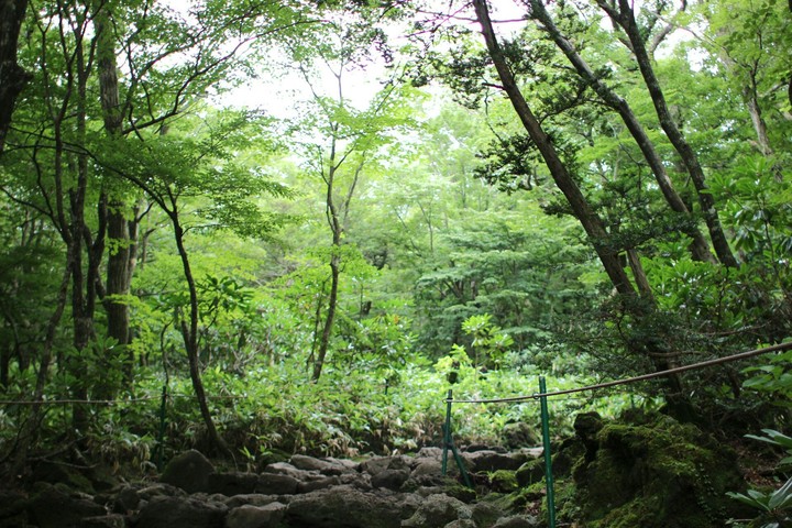 한라산의 정상으로...