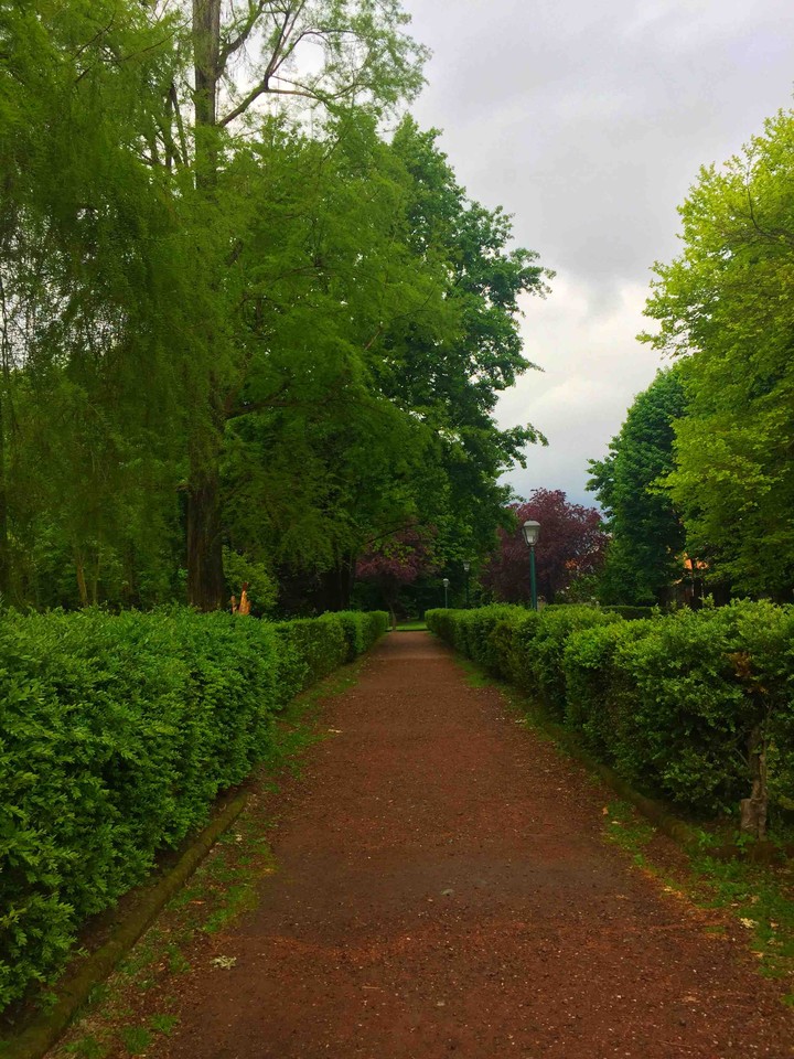 city park