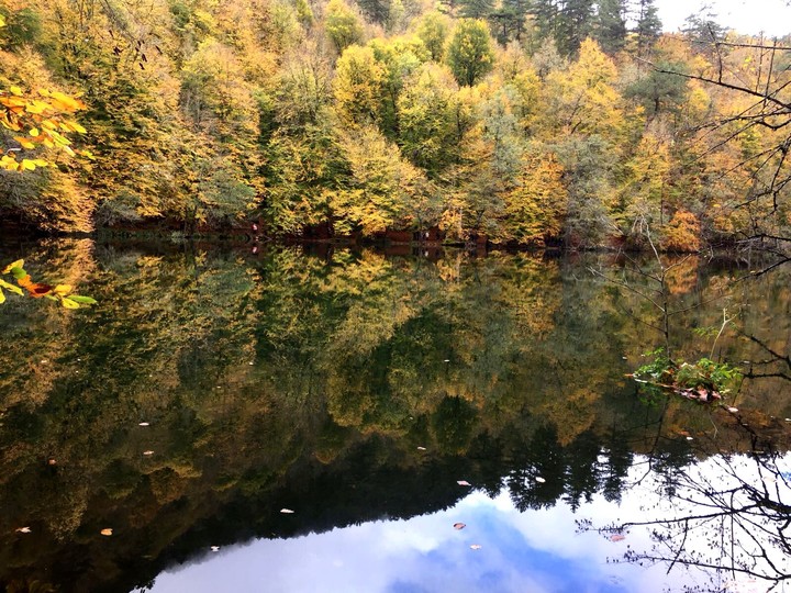 Lake