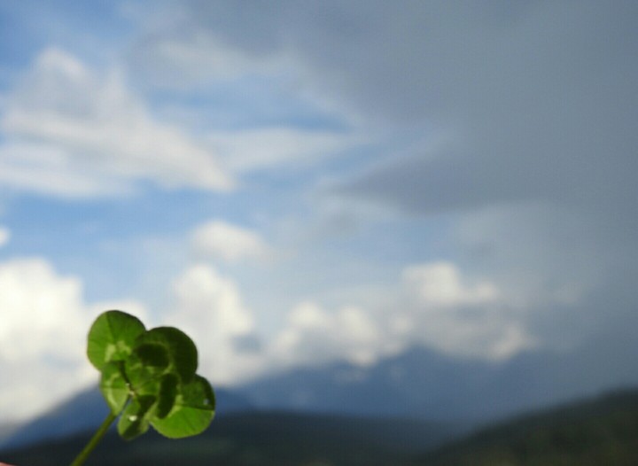 Clover and mountains Tatry