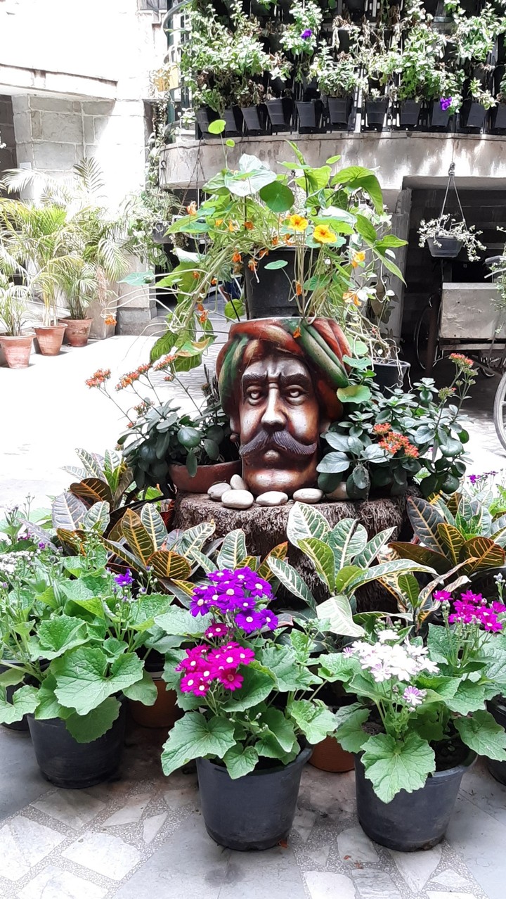 Funny Pot