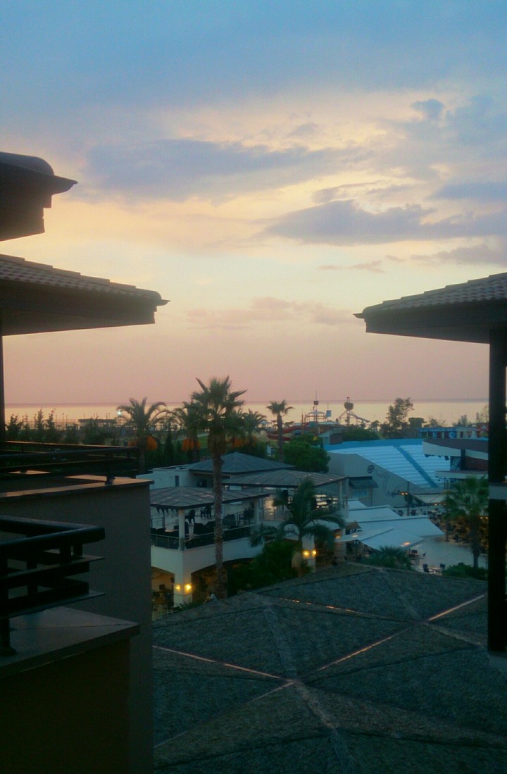 view