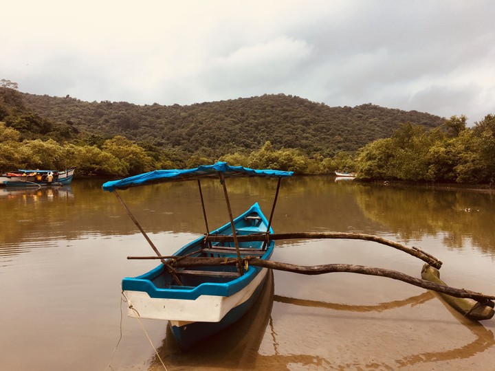 BackWaters South of Goa pololem