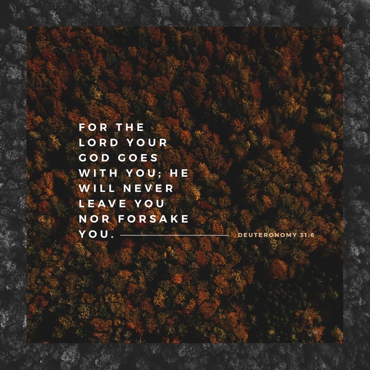 deuteronomy 31 6