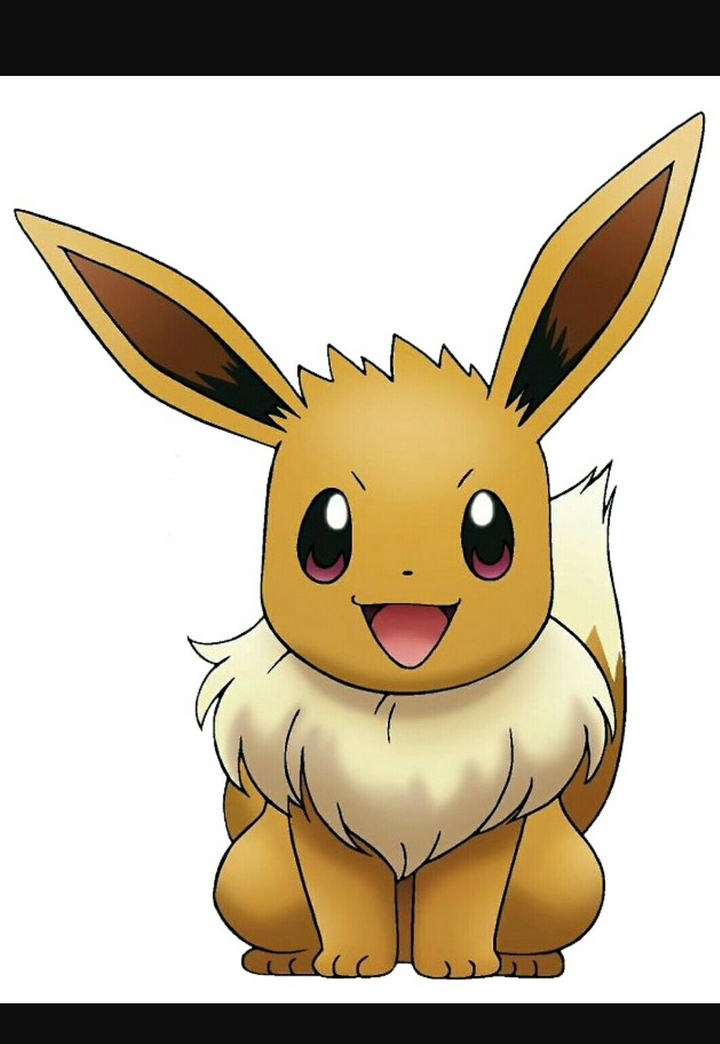 #3/4  Eevee