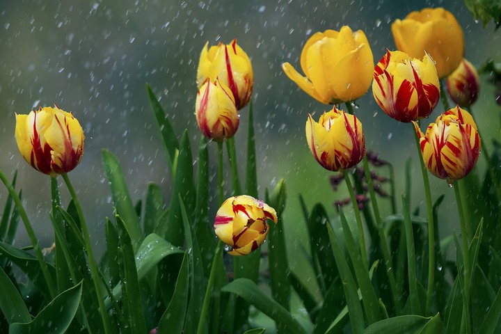 Wonderful moment of Spring