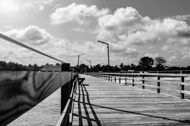 muelle black and white