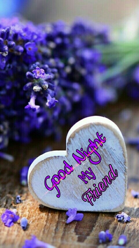 Good Night Friend