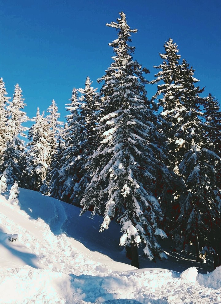 as white as snow
