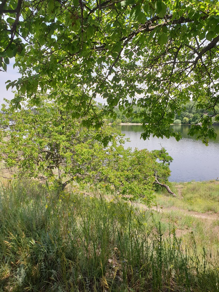 beautiful views