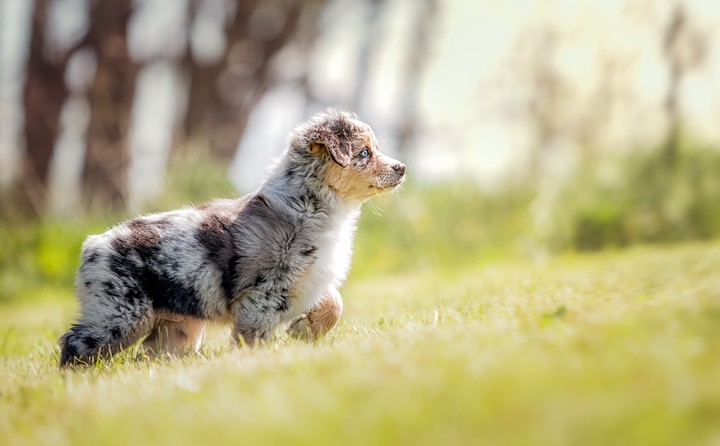 .