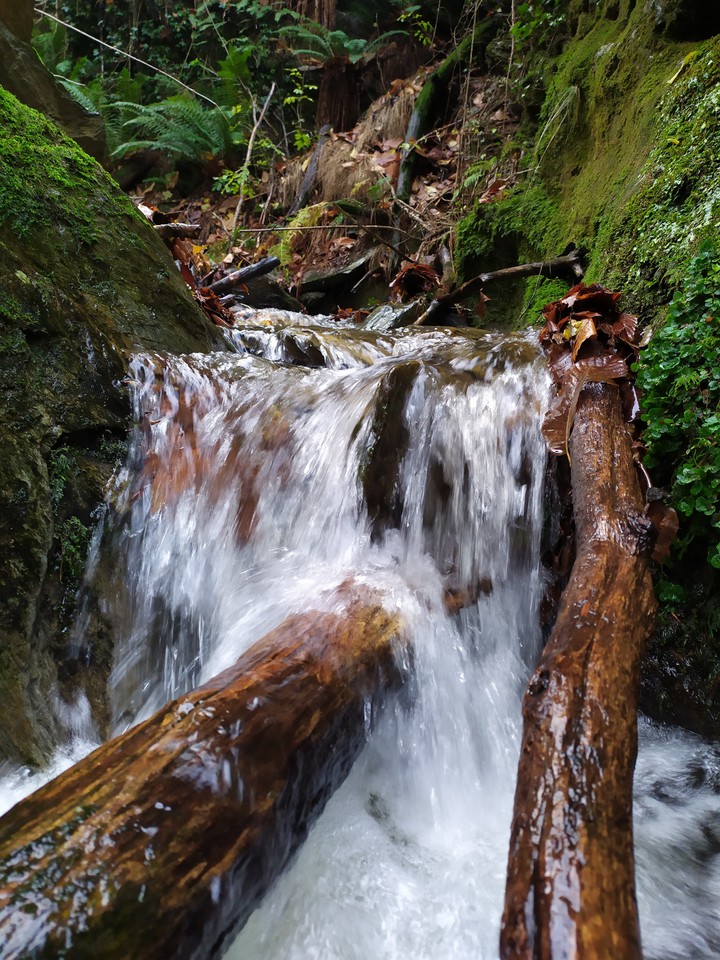 Waterfalls - Cascades