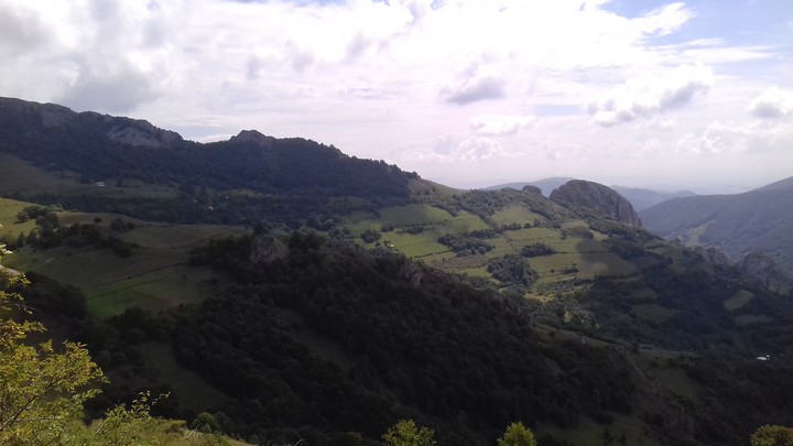 wonderful green