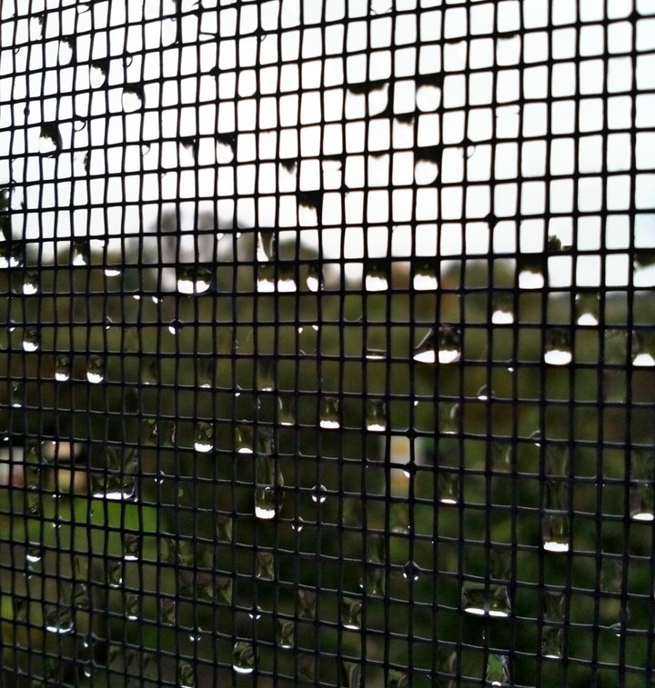 #rain  #дождь❤