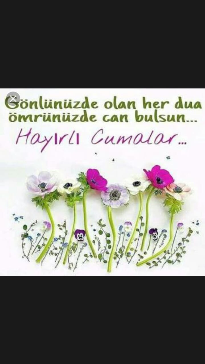 Amin