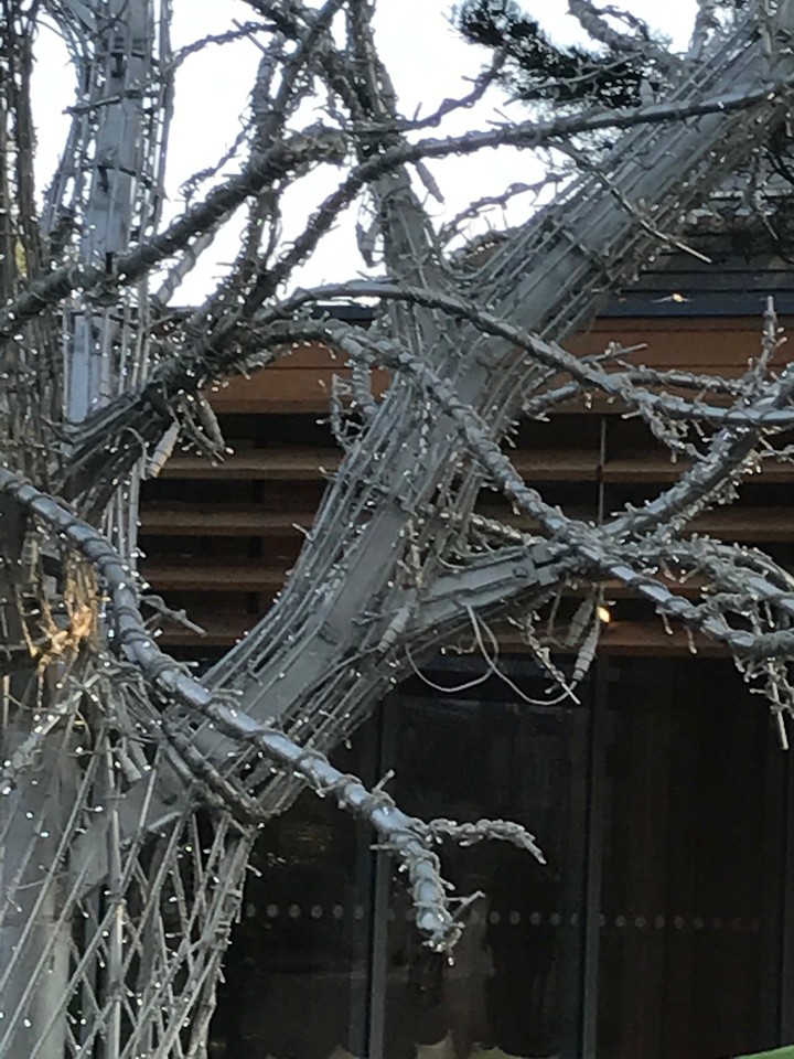 another tree...