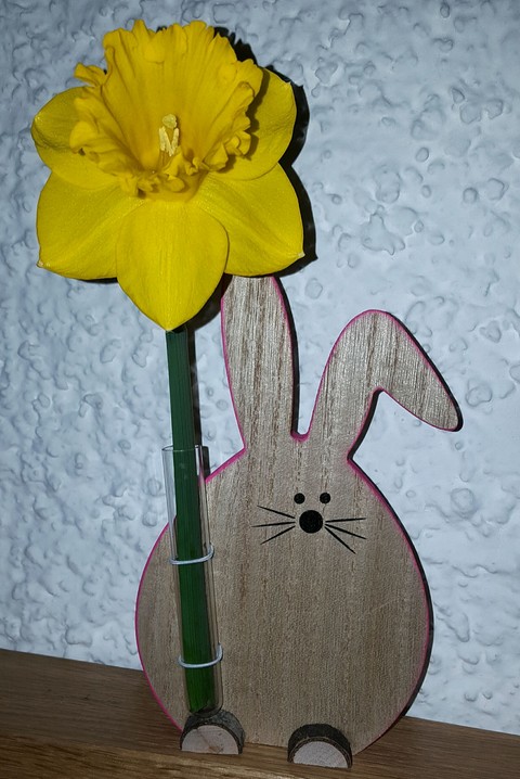 Hase