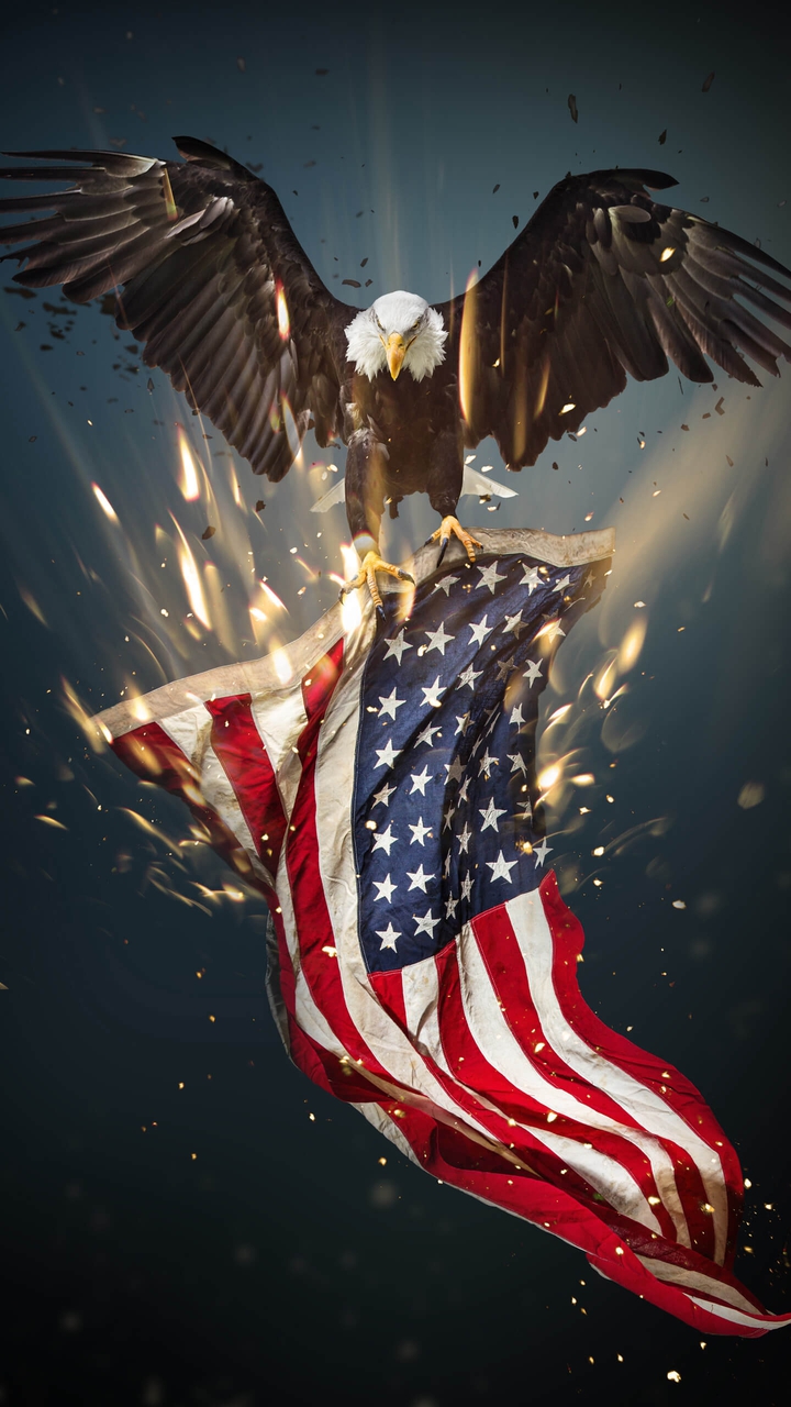 American Eagle