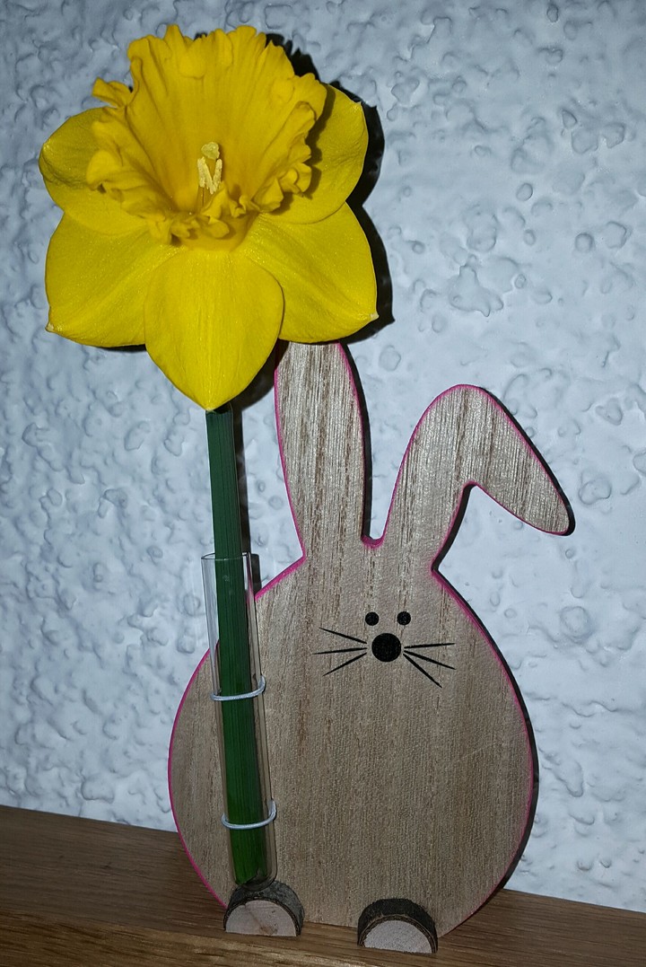 Hase