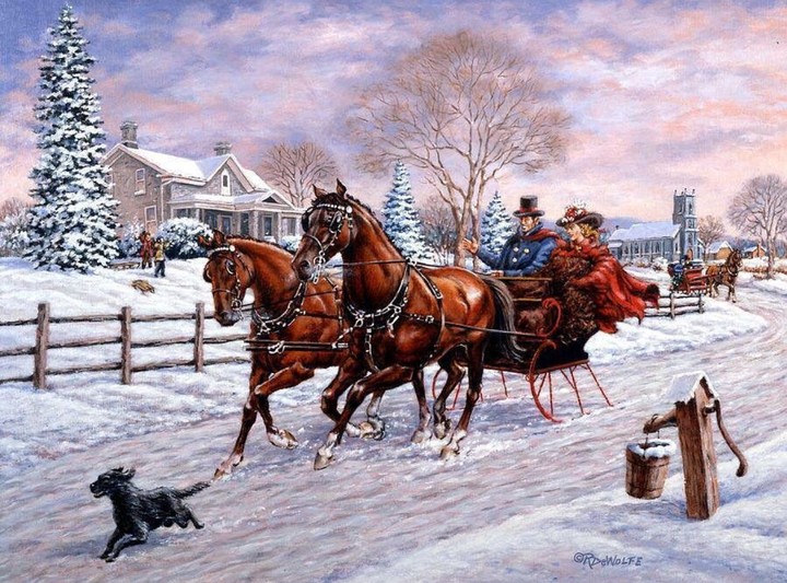 A beautiful sleigh ride