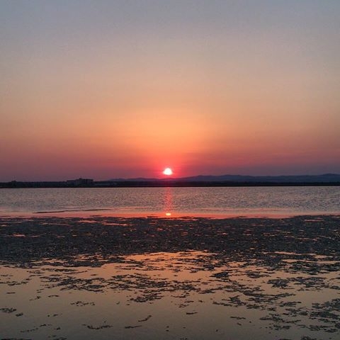 sunset