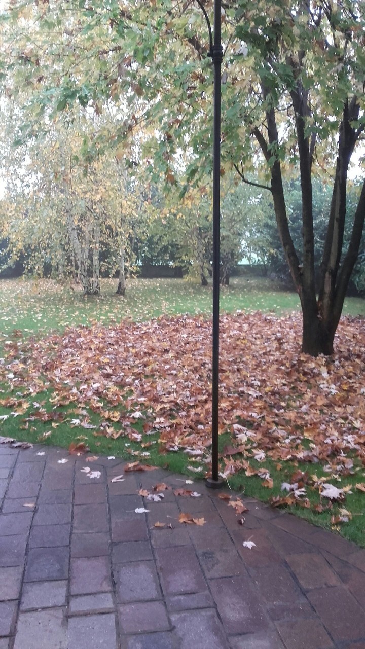 autunno