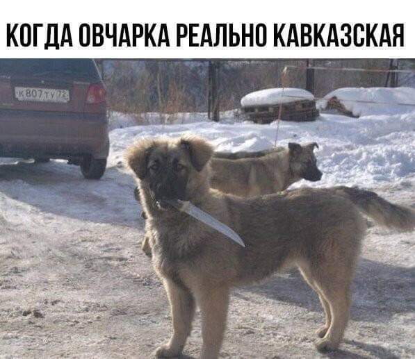 ?