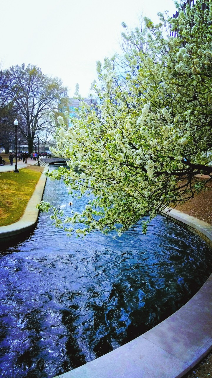 park