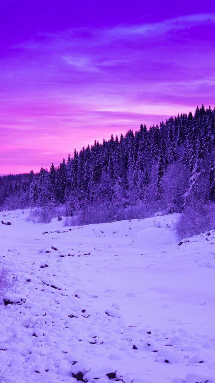 М
