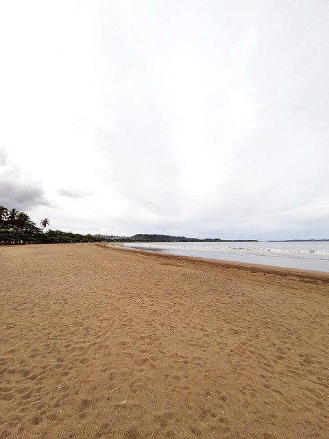 white in beach
