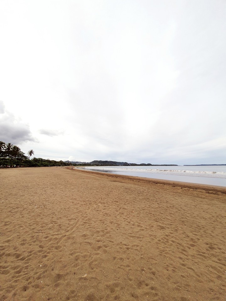 white in beach